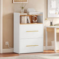 Moasis 2-Drawers Wood Filing File Cabinet 2-Drawers with Outlet and USB for Legal Letter A4 Size