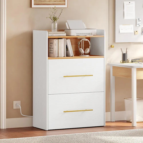 Moasis 2-Drawers Wood Filing File Cabinet 2-Drawers with Outlet and USB for Legal Letter A4 Size